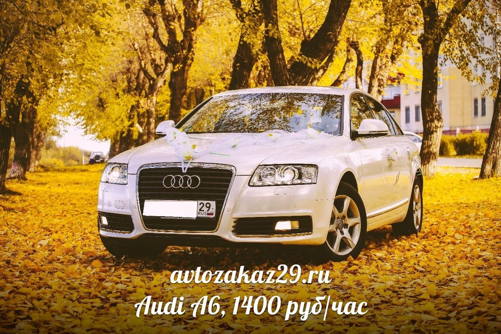 Аренда Audi A6 в Архангельске